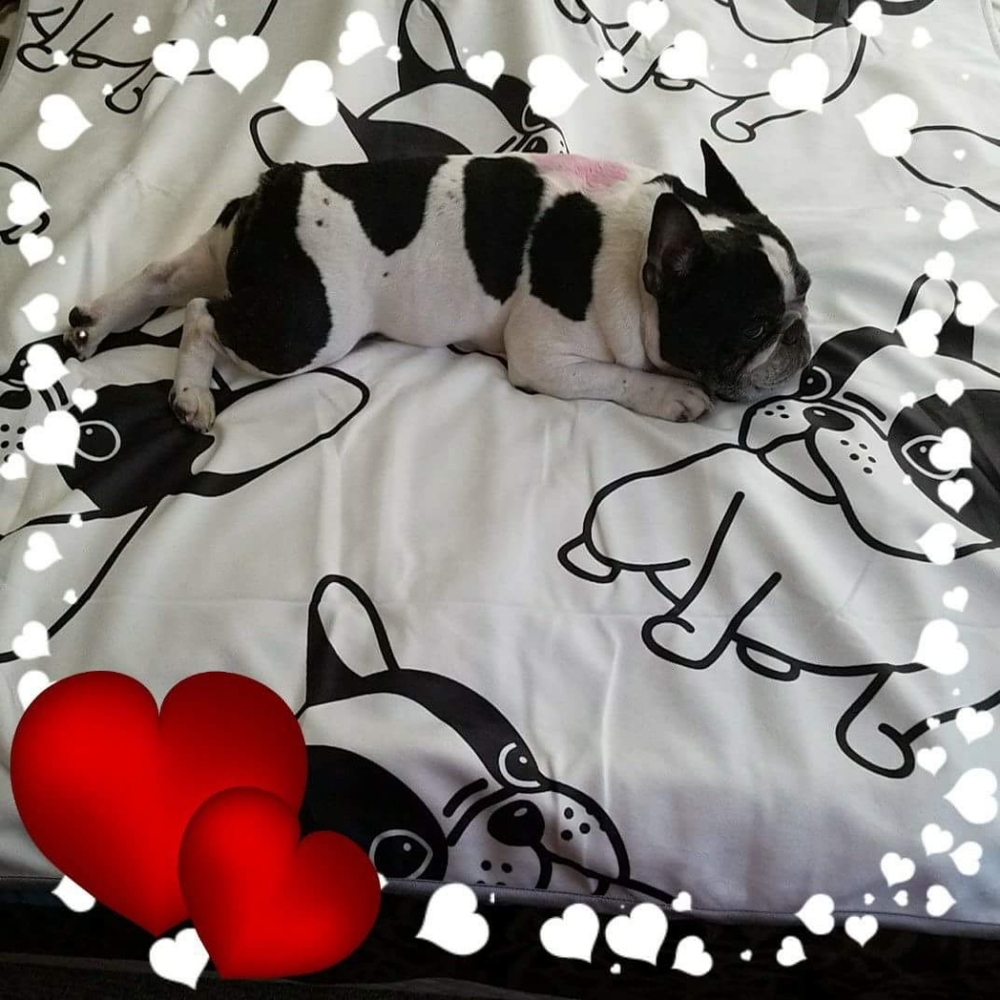 Meet your Posher, Angela